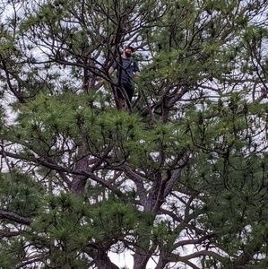 Meet your Posher, Corey